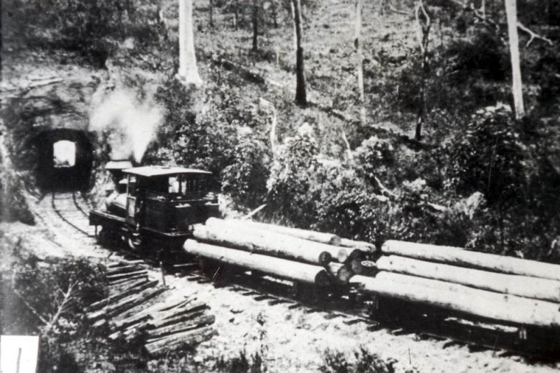 Locomotives on Queensland private railways - ARHS Qld
Slide 1 -  Lahey's Tramway Shay locomotive - Canungra area
