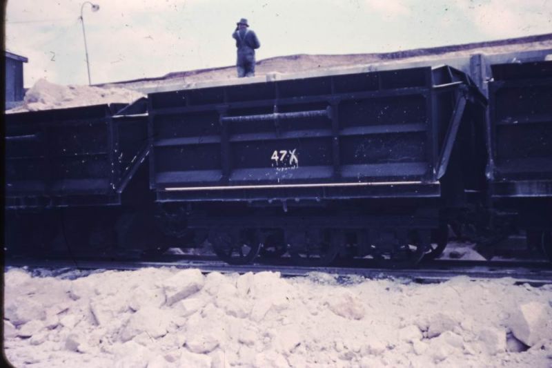 PICT0005s.jpg