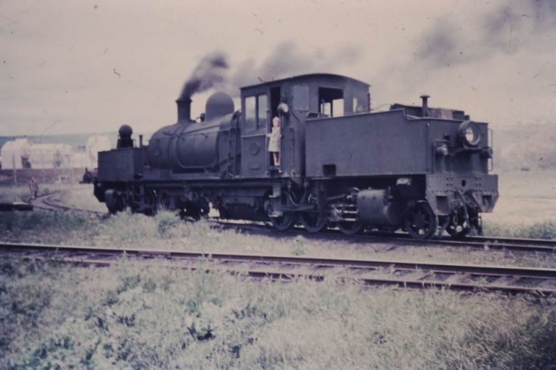 PICT0010s.jpg