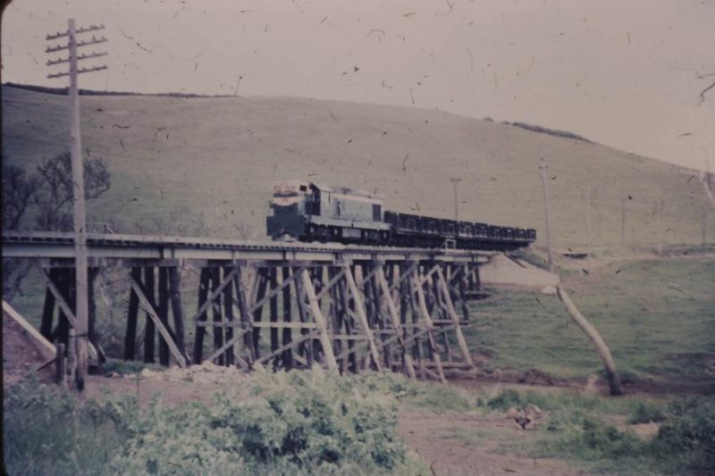 PICT0015s.jpg