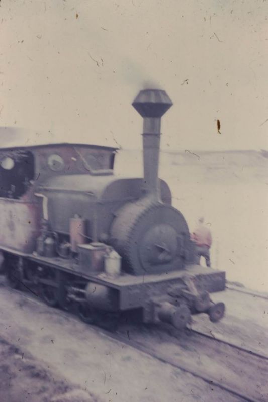 PICT0020s.jpg