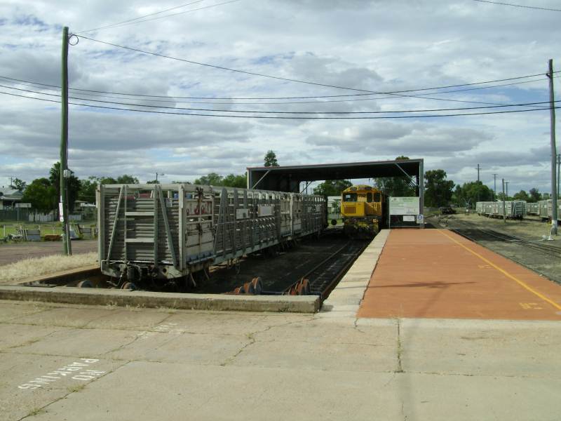 Charleville
