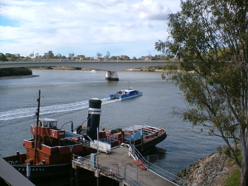 Forceful and a CityCat
Tug boat Forceful  and a CityCat
July 2008
Forceful was scrapped 2023.
https://en.wikipedia.org/wiki/Forceful_(tugboat)

