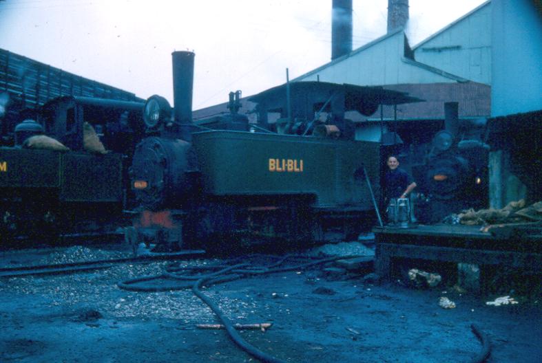 Bli Bli
Bli Bli at Moreton Mill, 1954, 2'.
