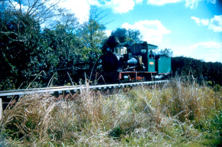 Hudswell Clark 0-6-0
"Cairns" Hudswell Clark 0-6-0 in Ingham area 1959.
