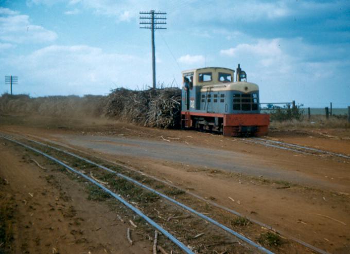 D2 early diesel
D2, an early diesel locomotive on the Isis Mill, 2', 1954.
