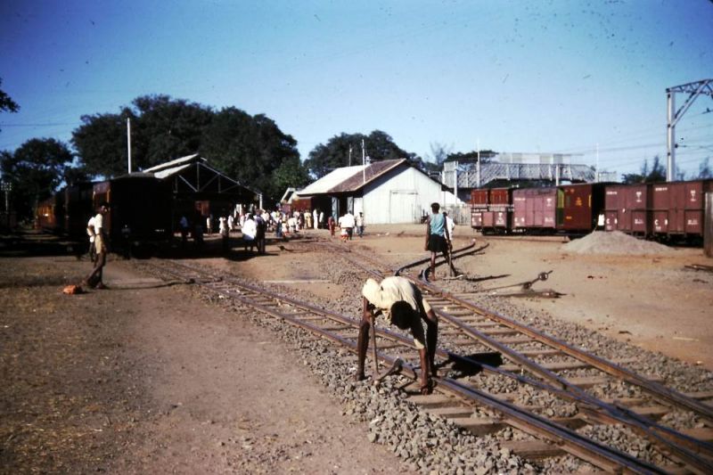 sPICT0031.jpg