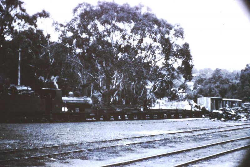 PICT0030s.jpg