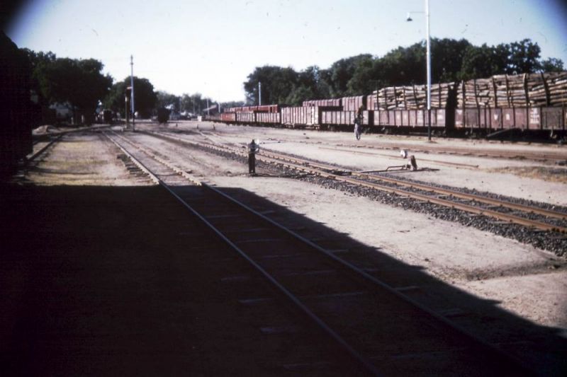sPICT0040.jpg