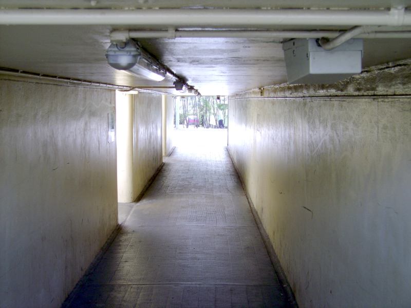 d15.jpg