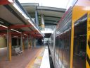 Filename=robina2.jpg
Filesize=58KiB
Dimensions=600x450
Date added=Jul 19, 2025 robina2.jpg