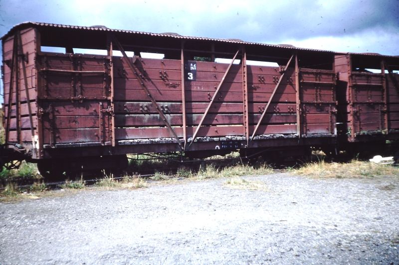 NM cattle wagon
