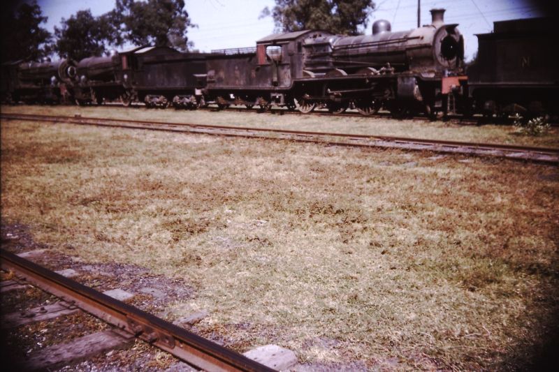 PICT0036.JPG