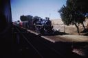 PICT0071.JPG