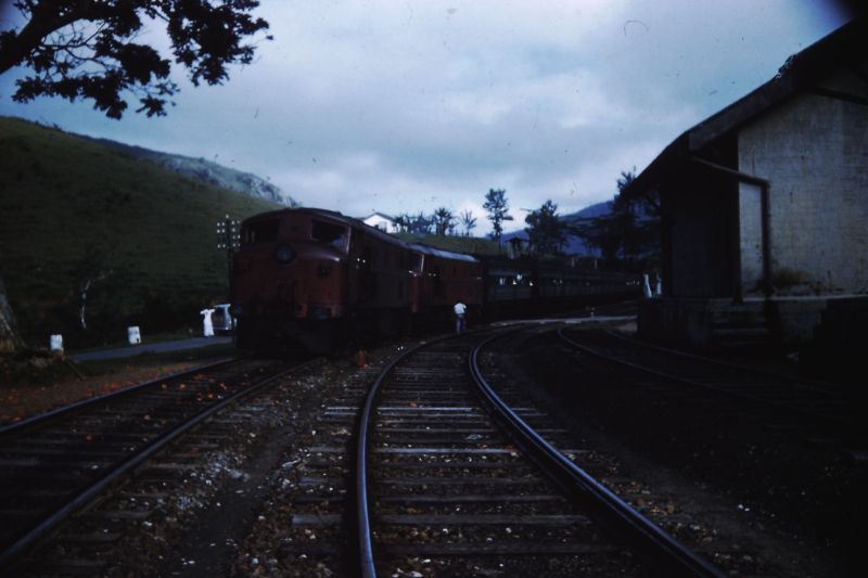 PICT0037.JPG