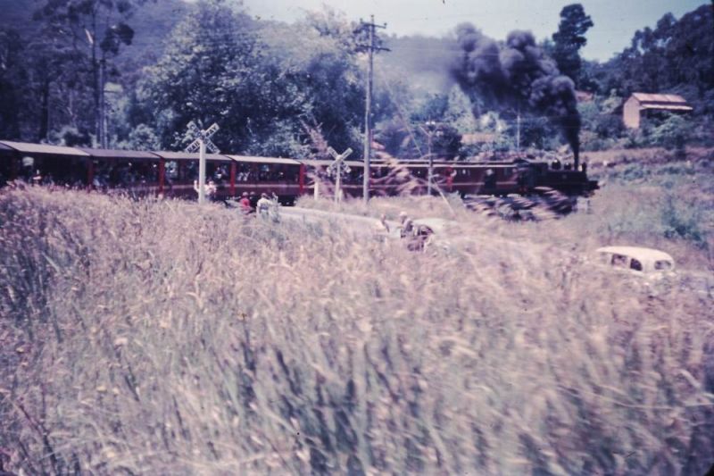 Upper Ferntree Gully to Gembrook line (Puffing Billy)
