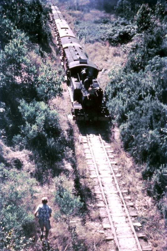 Upper Ferntree Gully to Gembrook line (Puffing Billy)
