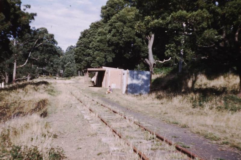 Upper Ferntree Gully to Gembrook line (Puffing Billy)
