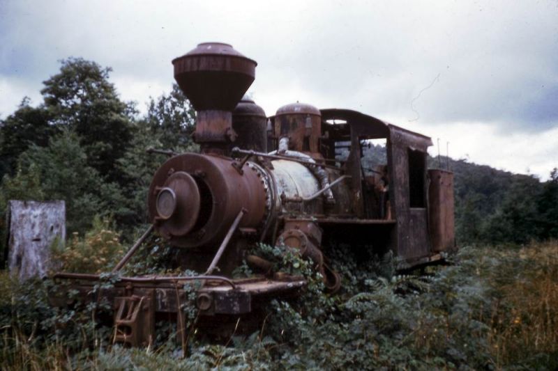 Climax 1694 at Erica 1957
A remarkable restoration by Puffing Billy Preservation Society
 was abandoned at Erica now runs at Belgrave. 1694 worked the Tyers Valley Tramway, which carried sawn timber from Growlers Creek and Ten Acre Block, via Tyers Junction to Collins Siding on the VR Moe – Walhalla 2' 6" railway. Tramway closed 1949, 1694 moved to Erica.

