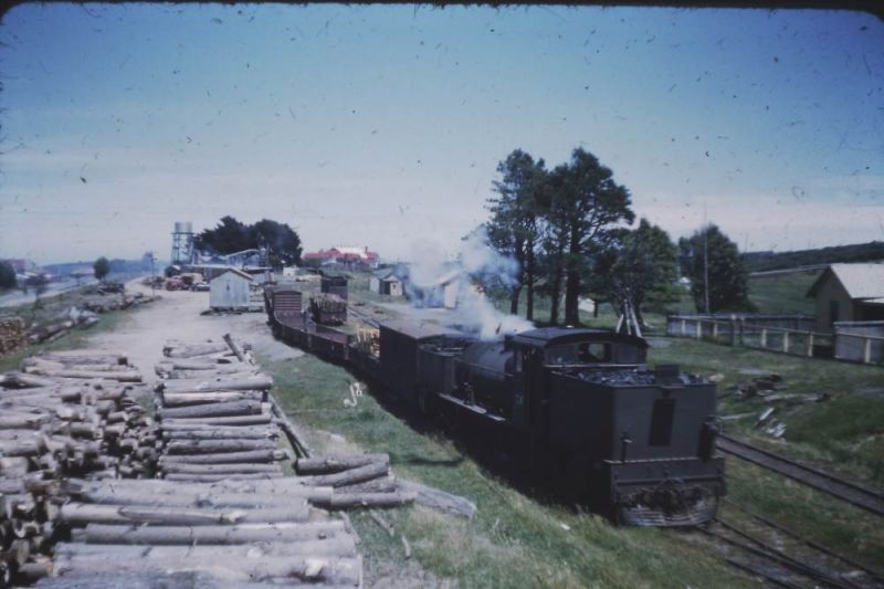 G41 Beech Forest
G41 shunting at Beech Forest 1959
